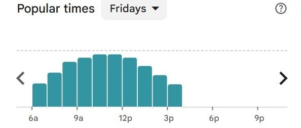 Leo’s Bagels NYC popular times chart for Friday