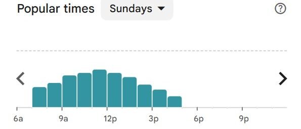 Leo’s Bagels NYC popular times chart for Sunday
