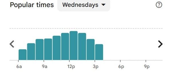 Leo’s Bagels NYC popular times chart for wednesday